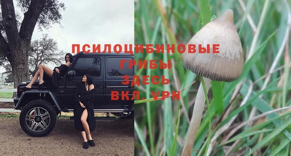 ПСИЛОЦИБИНОВЫЕ ГРИБЫ Бронницы