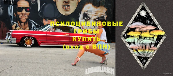 ПСИЛОЦИБИНОВЫЕ ГРИБЫ Бронницы